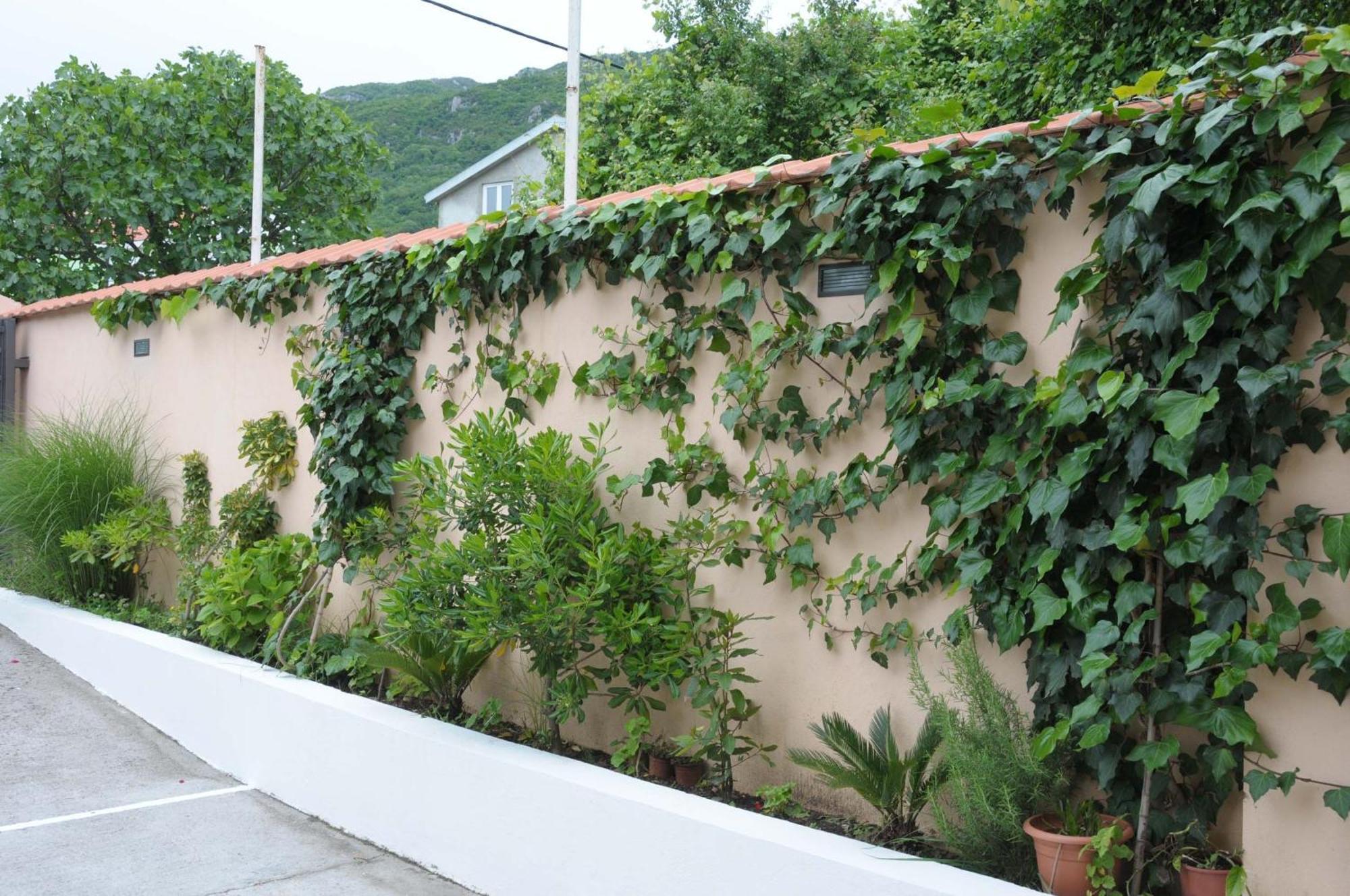 Apartments Royal Budva Kültér fotó